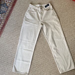 Abercrombie & Fitch The Loose High Rose Jean (Curve Love)